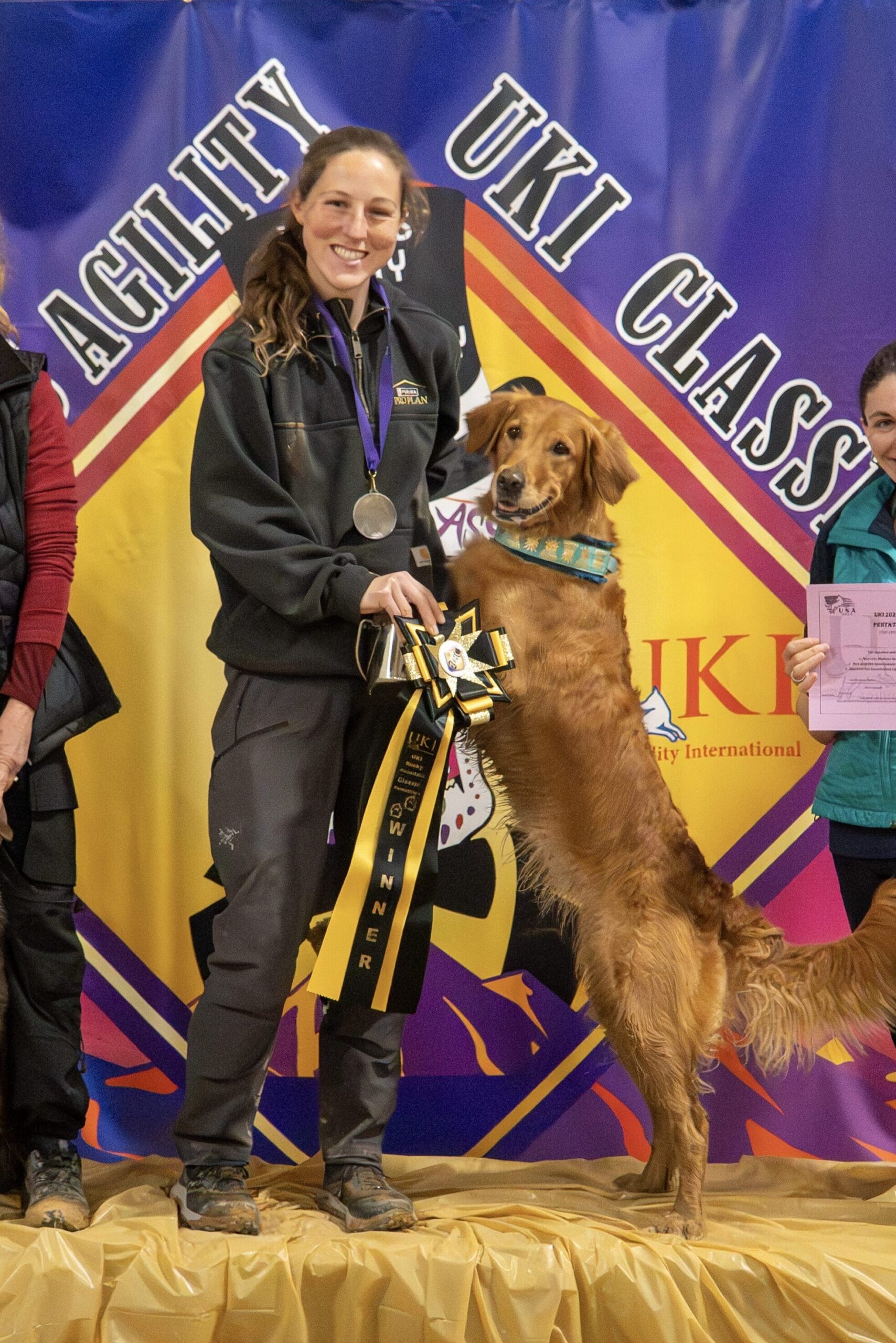 Golden retriever